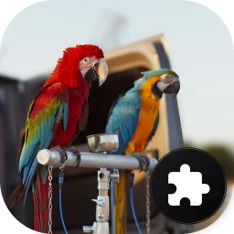 Icône de Parrot Jigsaw Puzzle